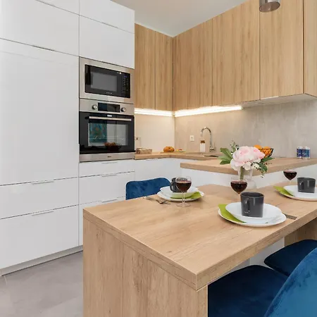 شقة With Terrace And Gym In By Renters غدانسك